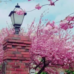 Meet your Posher, Ashleigh